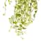 Two Toned Green Hanging Smilax Bush by Ashland&#xAE;
